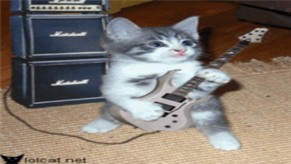 Guitar_Cat Roblox decal