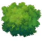 Greenest of Grass