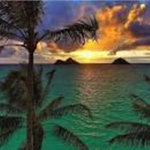 Hawaii Council