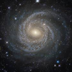 The NGC force