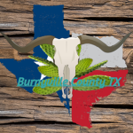 BV County TX