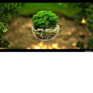 Smooth Terrain World