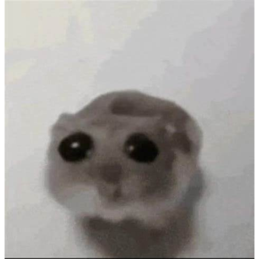 WIN THE SAD HAMSTER OBBY TO GET INFINITE WEALTH !!