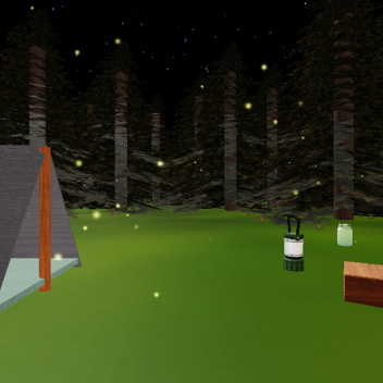 Night camping in the forest 