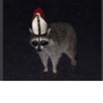 Kappa jay