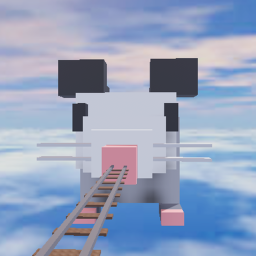 Cart ride into an Opossum