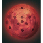 Tsu's Realm
