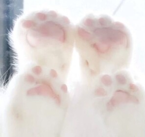 <𝟑 .ᐟ