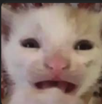جيش_سلطان