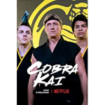Cobra Kai fan group