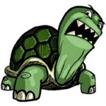 Tortoises