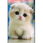 For my siblings heheheh