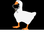 The Good Goose Group!