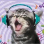 The Kitty Kat