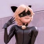Miraculous Ladybug & Cat Noir!