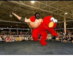 All powerful Elmo Cult