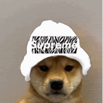 Anime fan club and a cat club