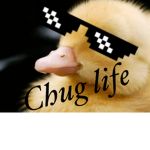 Rat rules