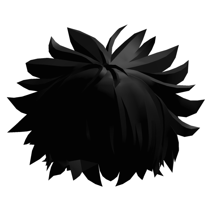 Black Fluffy Messy Hair