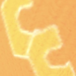 Golden C’s