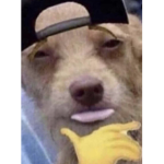 SLOTH GANG.