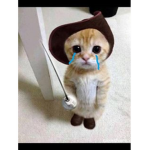 Miau89Bro