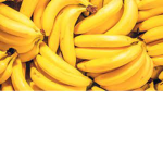 The Banana Fans!!!!!!!!!!!!!!!!!!!!!!!!!!!!!!!!!!!