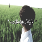 Aesthetic Lily's <3
