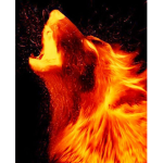 _EMPIRE OF FIRE _