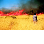 fire hunterz