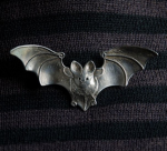 Everstar'