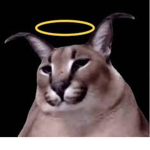Flops Church