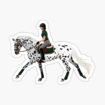 Deer Springs Horse Center
