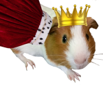KingThumper
