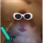 The starring hamsters