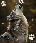 Animals slayy