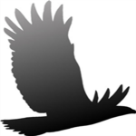 Dark Eagle ®