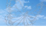 Divine Silver High School