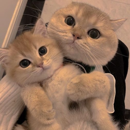 is