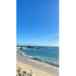 Poppy.Vlogs group