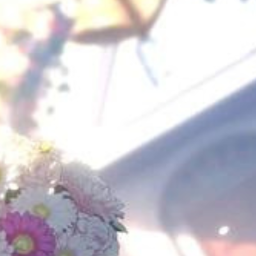✿