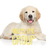 Violets Epic Group