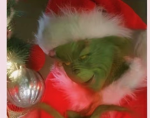 The grinch world