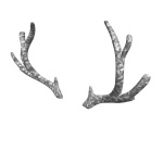 Platinum Sparkle Time Antlers