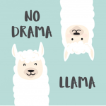 Llama Chic