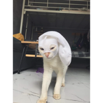 Punix