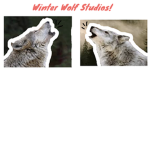 Winter Wolf Studios fan club