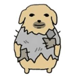 Homeless Dog