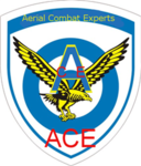 Aerial Combat Experts (ACE)