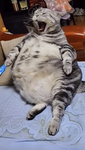 emmzod